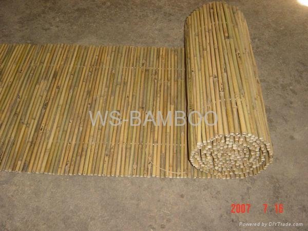 Bamboo fence 4