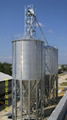 Steel Silo for Paddy Rice