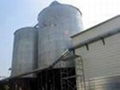 steel silo for feed 