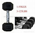 dumbell weight sets 1