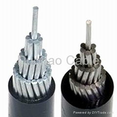 Aerial Insulated Cable 
