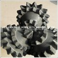 12 1/4 API Steel Tooth Bit for formation 2