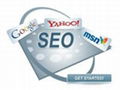 Search Engine Optimization  Company In India