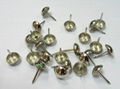 11mm,16mm,40mm Upholstery nails 1