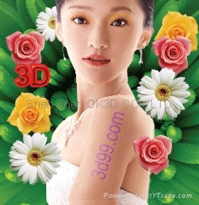 PSD TO 3D 101 Lenticular Software Use For 2D to 3D Images Software 2