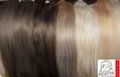 Russian Raw Bleached Hair ponytails 1