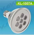 LED PAR30 light