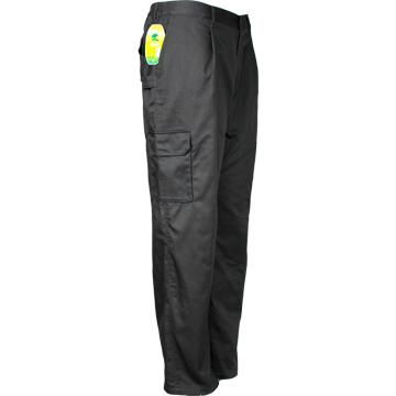 Cargo/ Work Pants