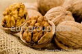 walnuts in shell, walnuts kernel  1