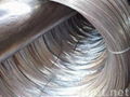 galvanized steel wire 2