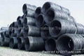 supply steel wire rod  1