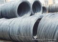 supply steel wire rod  2