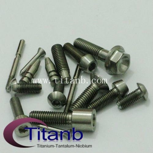 Titanium fasteners