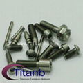 Titanium fasteners 1