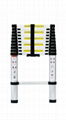 Telescopic ladder