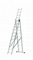 Section Extension ladder