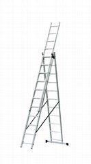 Section Extension ladder