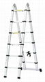 Telescopic ladder