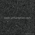 Dark Grey Granite G654