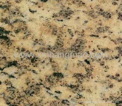 Yellow Tiger Skin Granite