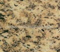 Yellow Tiger Skin Granite 1