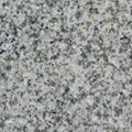 Grey Granite G655 1