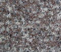 Cheap Pink Granite G664 1