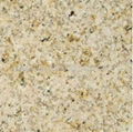 Chinese Yellow Granite G682 1