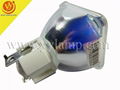 PHOENIX SHP52 Replacement Projector Lamp 1