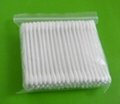 Cotton Buds in The Polybag (100PCS) 1