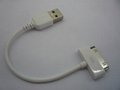 USB to Iphone data cable 3