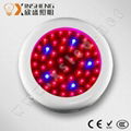 Popular 50W UFO led grow lights