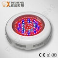 Red Blue high power 90W panel grow light led 1