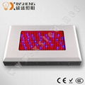 Best led grow light supplier 600W high power grow panel lights 2