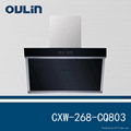 OULIN Hot New Model Inox kitchen chimney