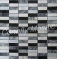 Strip Series Mosaic 4