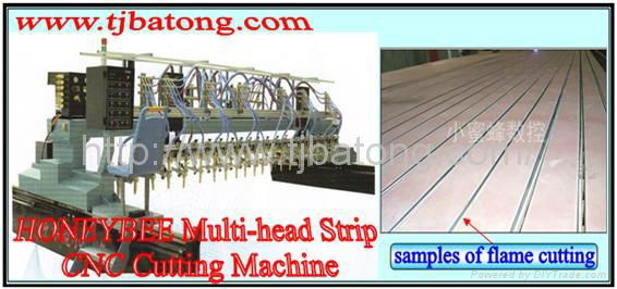 Straight-line multi heads cutting machine 2