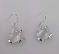 Jewelley Silver Earrings for Lady