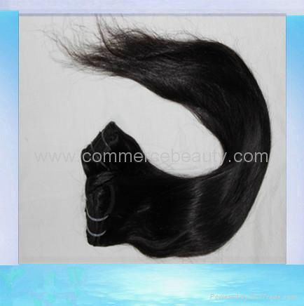 hot aaaa grade european brazilian peruvian indian hair human hair weft 2