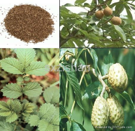 18% 20% Chinese Buckeye Seed plant Extract 