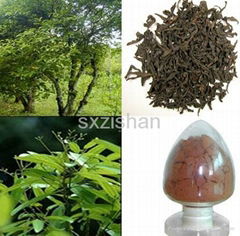 10% Cinnamon Bark plant Extract