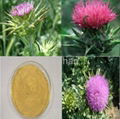  70% 80% 95% 98% Milk Thistle plant Extract  1