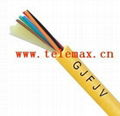 GJFJV Indoor Fiber cable 1