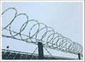 Concertina Wire