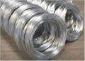 Electro Galvanized Wire 1