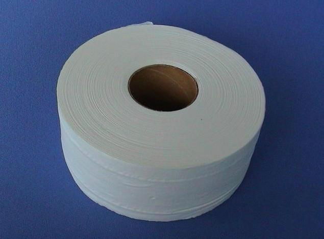 Jumbo tissue roll 2