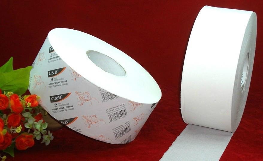 Jumbo tissue roll 3