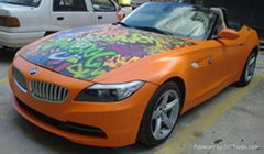 Newest Doodle type Car color-changing Film