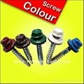 HEX HEAD SELF DRILLING SCREW WITH EPDM WASHER  3