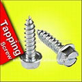 HEX HEAD SELF DRILLING SCREW WITH EPDM WASHER  5